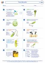 Biology - High School - Worksheet: Pond Microlife