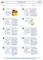 Biology - High School - Worksheet: Pond Microlife