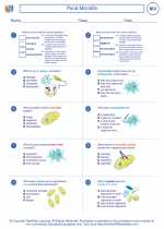 Biology - High School - Worksheet: Pond Microlife