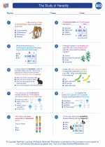 Biology - High School - Worksheet: The Study of Heredity