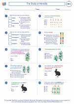 Biology - High School - Worksheet: The Study of Heredity