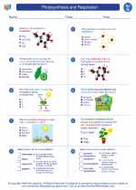 photosynthesis and respiration 7th grade science worksheets vocabulary sets and answer key