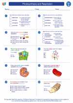 Science - Seventh Grade - Worksheet: Photosynthesis and Respiration