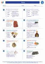 Science - Eighth Grade - Worksheet: Rocks