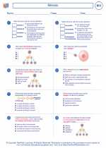 Biology - High School - Worksheet: Meiosis