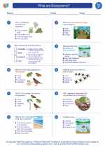 Science - Third Grade - Worksheet: What are Ecosystems?
