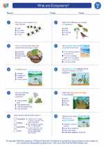 Science - Third Grade - Worksheet: What are Ecosystems?