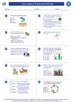 life cycles of plants and animals 3rd grade science worksheets vocabulary sets and answer key