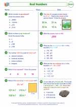 Mathematics - Eighth Grade - Worksheet: Real numbers