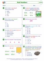 Mathematics - Eighth Grade - Worksheet: Real numbers