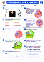 Science - Fourth Grade - Worksheet: Cells - The Building Blocks of Living Things