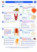 Invertebrates - Animals without Backbones. Science Worksheets and Study