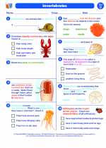 Science - Fourth Grade - Worksheet: Invertebrates