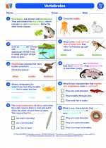 Science - Fourth Grade - Worksheet: Vertebrates