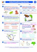 animal growth and reproduction science worksheets and study guides fourth grade