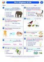 Science - Fifth Grade - Worksheet: The 6-Kingdoms of life