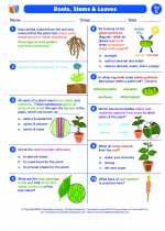 Science - Fifth Grade - Worksheet: Roots, Stems and Leaves