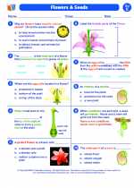 Science - Fifth Grade - Worksheet: Flowers and seeds