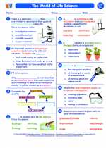 Science - Seventh Grade - Worksheet: The World of Life Science