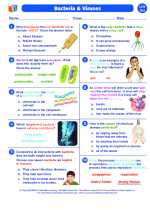 Science - Seventh Grade - Worksheet: Bacteria and Viruses