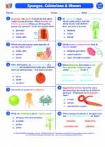 Science - Sixth Grade - Worksheet: Sponges, Cnidarians and Worms
