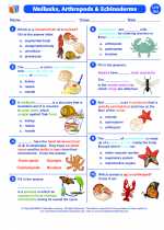 Science - Sixth Grade - Worksheet: Mollusks, Arthropods and Echinoderms