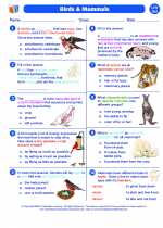 Science - Sixth Grade - Worksheet: Birds and Mammals