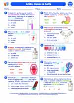 Science - Seventh Grade - Worksheet: Acids, bases and salts