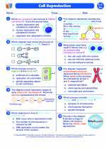 Biology - High School - Worksheet: Cell Reproduction