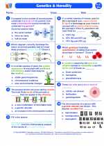 Biology - High School - Worksheet: Genetics and heredity I