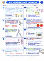 Biology - High School - Worksheet: DNA technology/genetic engineering