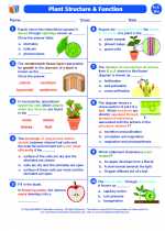 Plant structure and function. High School Biology Worksheets, Study Guides,  Vocabulary Sets and Answer key.