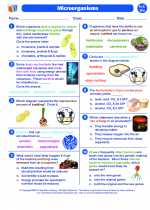 Biology - High School - Worksheet: Microorganisms I