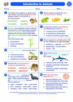 Biology - High School - Worksheet: Introduction to animals