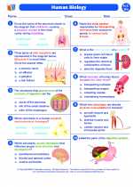 Biology - High School - Worksheet: Human biology I