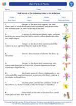 main parts of plants third grade science worksheets and study guides