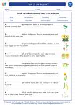 Science - Third Grade - Vocabulary: How do plants grow?