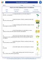 Science - Third Grade - Vocabulary: How do plants grow?