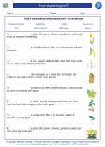 Science - Third Grade - Vocabulary: How do plants grow?