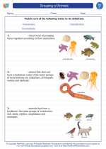 Grouping of Animals. Science Worksheets and Study Guides Third Grade.