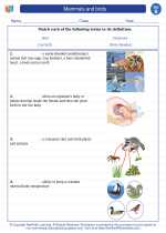 Science - Second Grade - Vocabulary: Mammals and birds