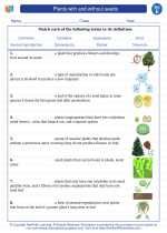 plants with and without seeds 5th grade science worksheets and answer keys study guides and vocabulary sets