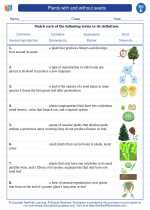 Science - Fifth Grade - Vocabulary: Plants with and without seeds
