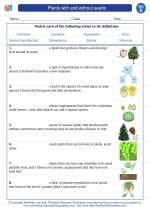 Science - Fifth Grade - Vocabulary: Plants with and without seeds