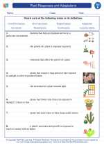 Plant Responses and Adaptations. 5th Grade Science Worksheets and