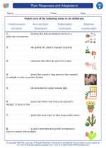 plant responses and adaptations 5th grade science worksheets and answer keys study guides and vocabulary sets