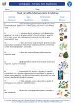 Science - Fourth Grade - Vocabulary: Vertebrates - Animals  with  Backbones