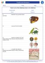 fossils and dinosaurs science worksheets and study guides third grade