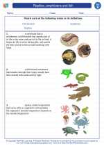 Science - Second Grade - Vocabulary: Reptiles, amphibians and fish