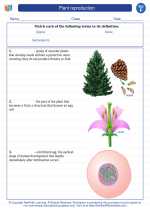 Science - Sixth Grade - Vocabulary: Plant reproduction